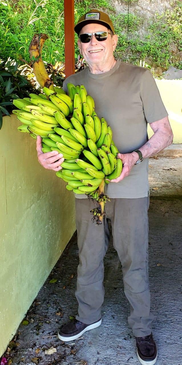 Life in the tropics, full size