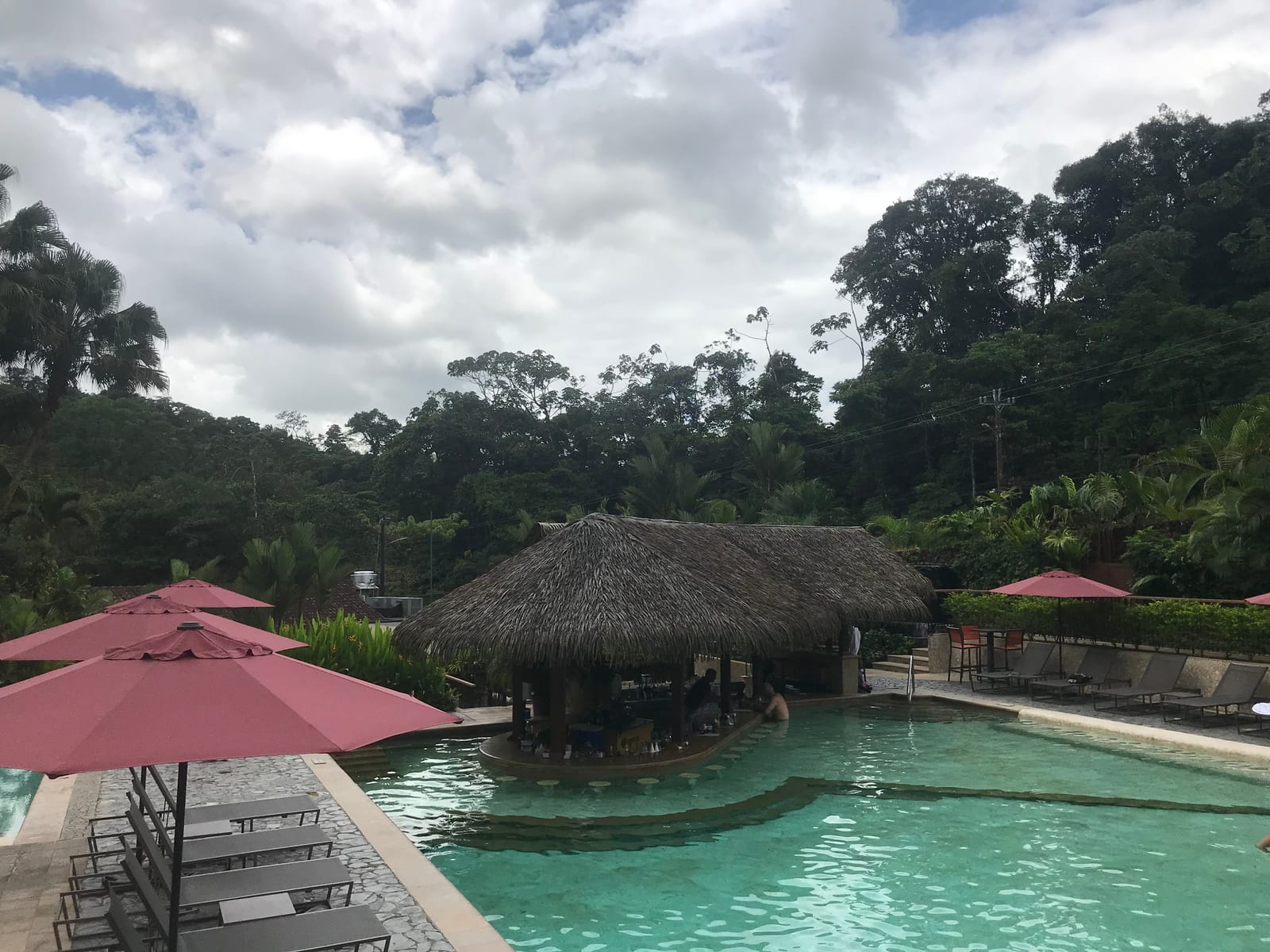 Life in the tropics, full size
