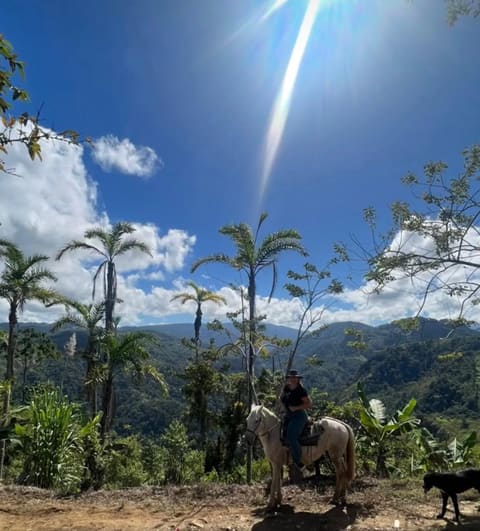 Life in the tropics: Costa Rica, Nicaragua, and Panama
