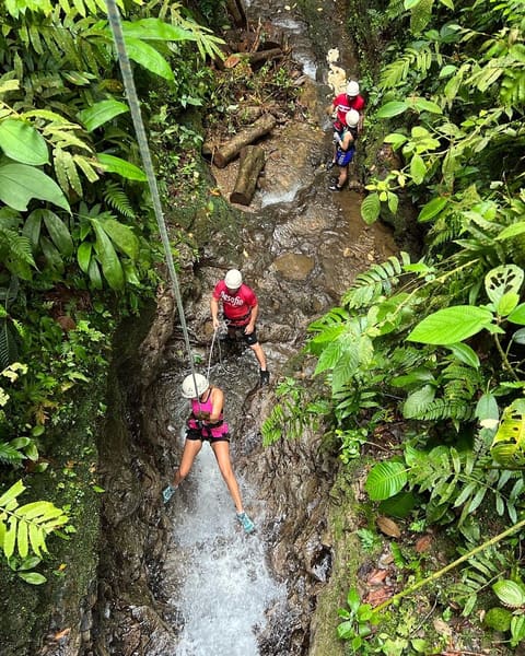 Life in the tropics: Costa Rica, Nicaragua, and Panama