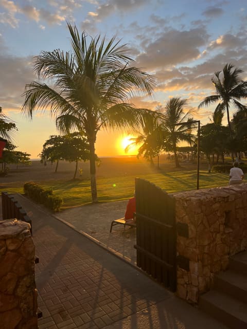 Life in the tropics: Costa Rica, Nicaragua, and Panama