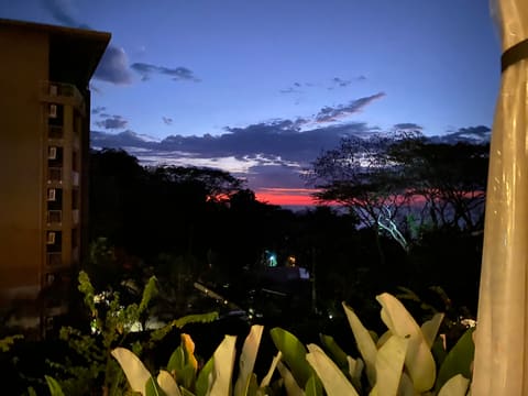 Life in the tropics: Costa Rica, Nicaragua, and Panama